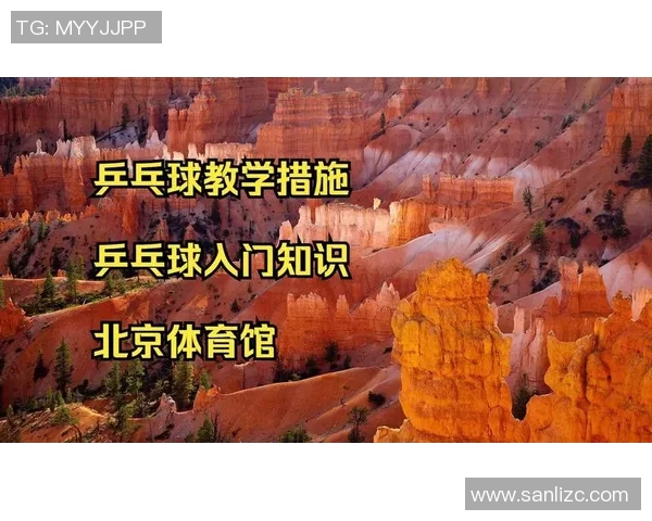 乒乓球的魅力与技巧揭秘：深入北京乒乓球队的训练与战术探索