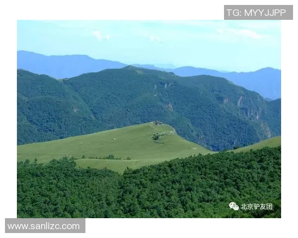 周芳亲历分享攀岩技巧与心得体会助你轻松征服高峰