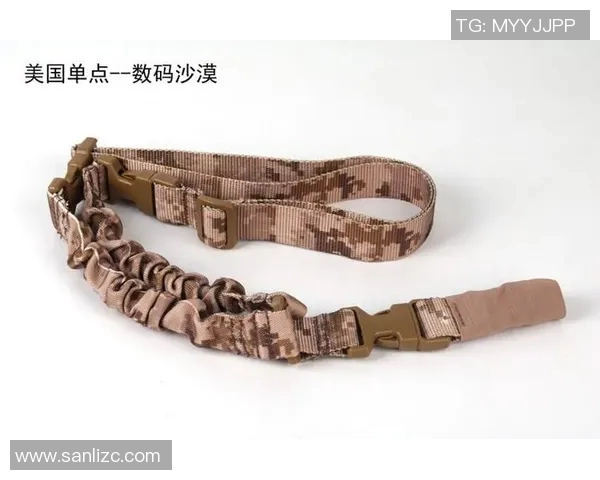 武汉极限运动队的控制打法深度分析与战术解读