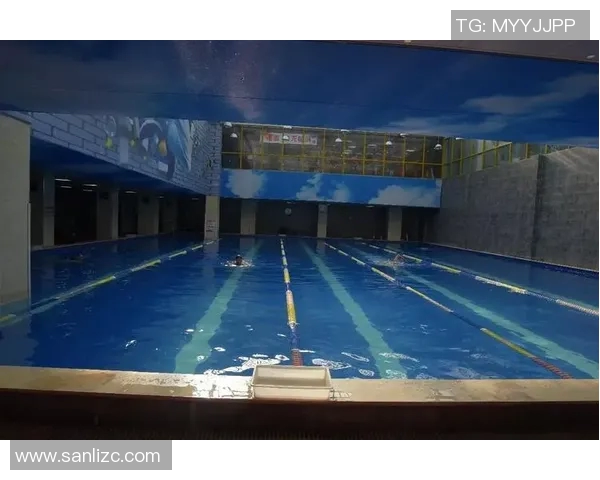 西安羽毛球队运营模式深度解析与发展策略探讨 西安羽毛球队运营模式深度解析与发展策略探讨