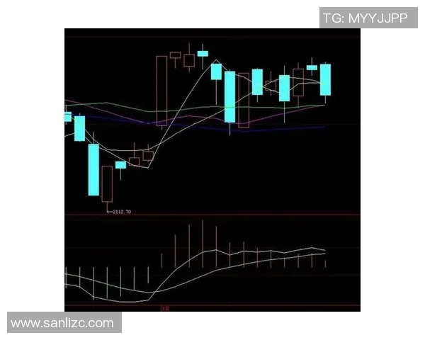 南京乒乓球队防守策略解析与技术特点探讨