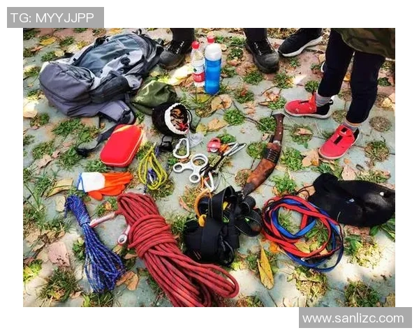 波鸿与汉堡激战正酣比赛直播精彩瞬间全程回顾与分析