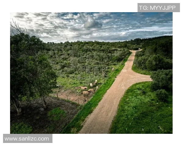 葡萄牙与绿色的碰撞:探索两者在文化与自然中的深刻联系与影响 葡萄牙与绿色的碰撞:探索两者在文化与自然中的深刻联系与影响