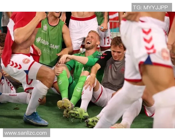 欧洲杯精彩对决爱尔兰与丹麦的激烈较量引发球迷热议