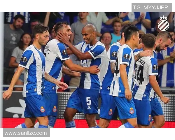 深圳排球队实力解析：从技术到战术全面剖析球队发展与未来潜力