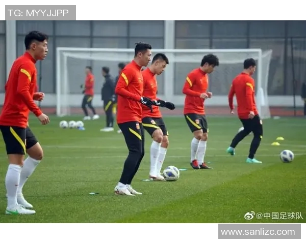 成都足球队勇夺冠军赛的辉煌历程与未来展望